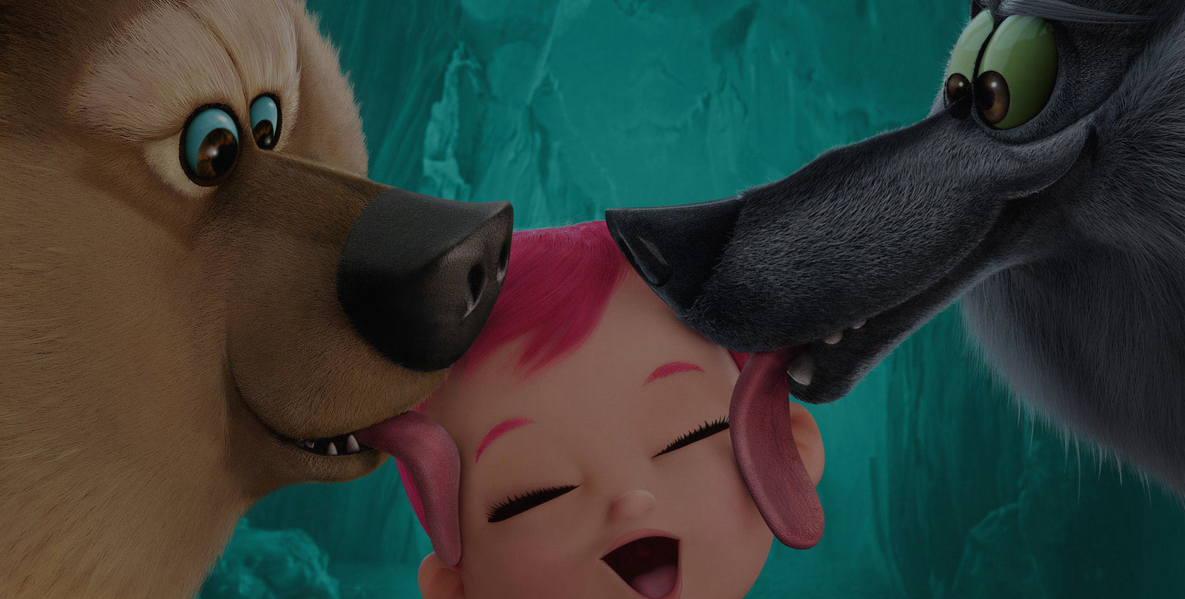 网页DDOS攻击平台